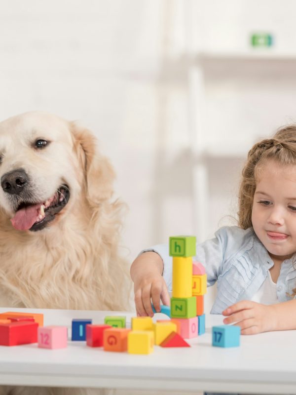 adorable kid playing with educational cubes, golden retriever sitting near table in children room